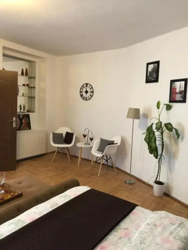 Xenopol Central Apartment