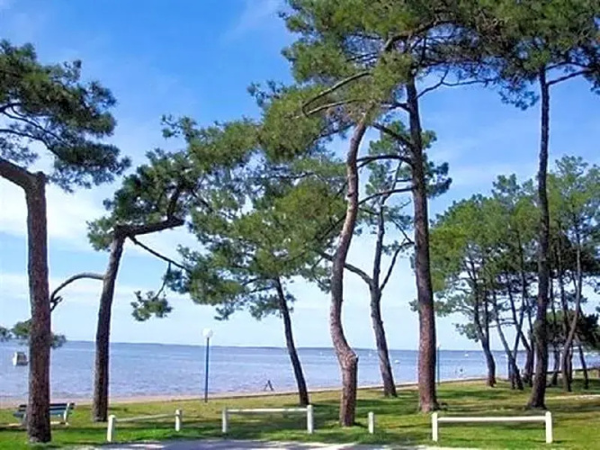 Villa Alluro