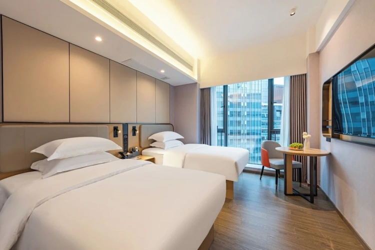 Standard Twin room with city view