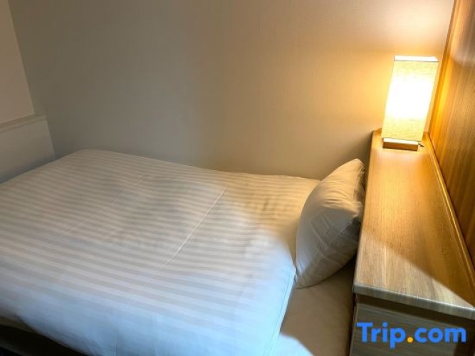 Standard Double room with city view