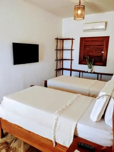 Standard Single room with garden view