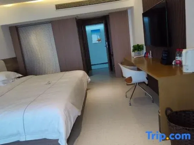 Standard Double room with balcony and with sea view