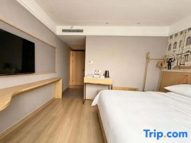 Standard Suite