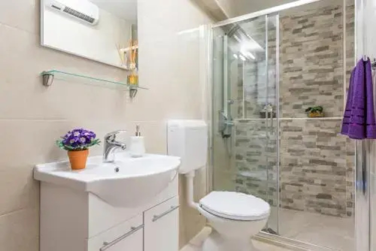 Apartment Iva