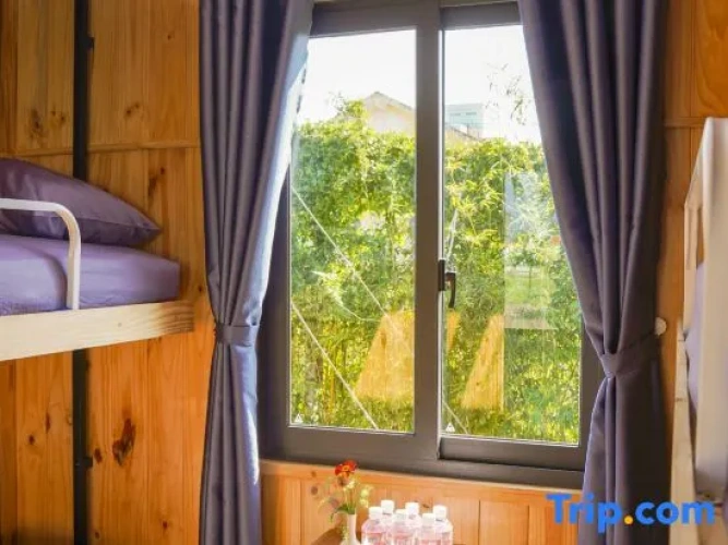 Bed in Dorm (female dorm)