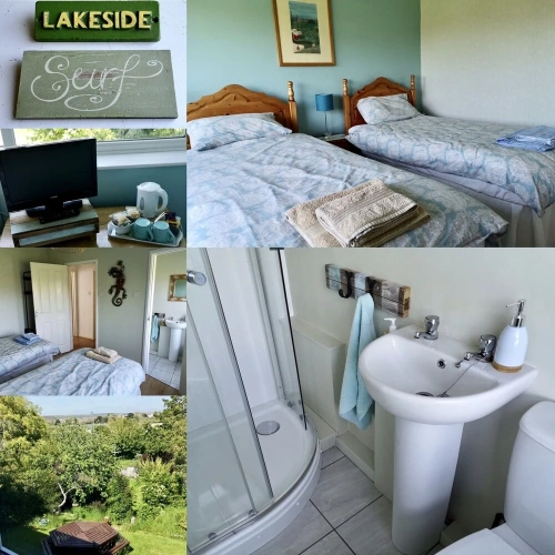 Deluxe Twin room with lake view