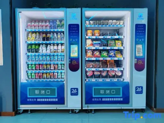Smart Hotel No. 9, Yuanping Wangfu