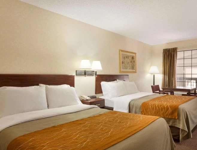 Standard Quadruple room