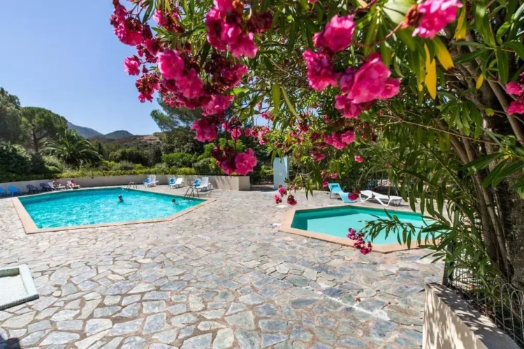 1 Bedroom Double Villa