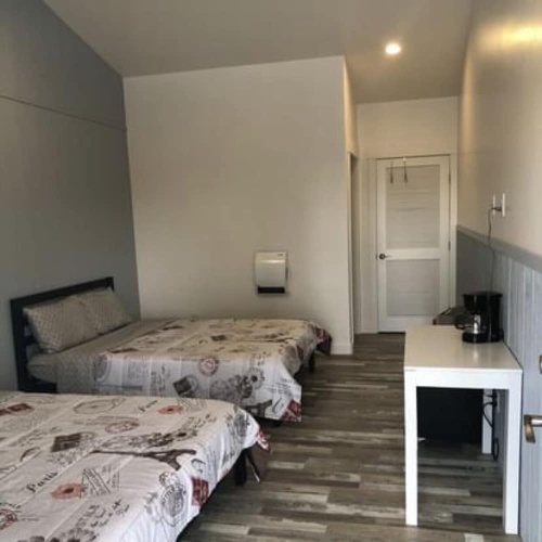 1 Bedroom Economy Single room