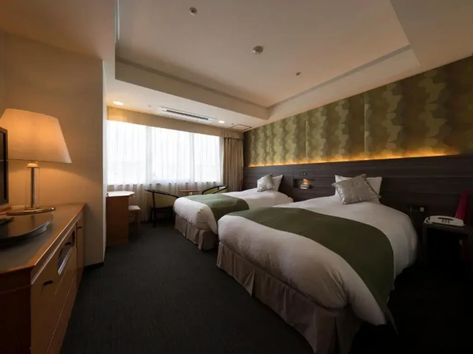 Standard Twin room with city view