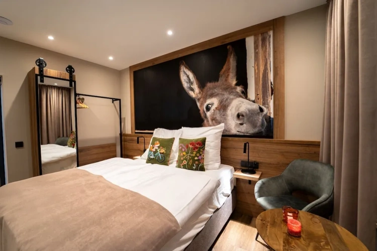 Economy Double room with balcony and with city view