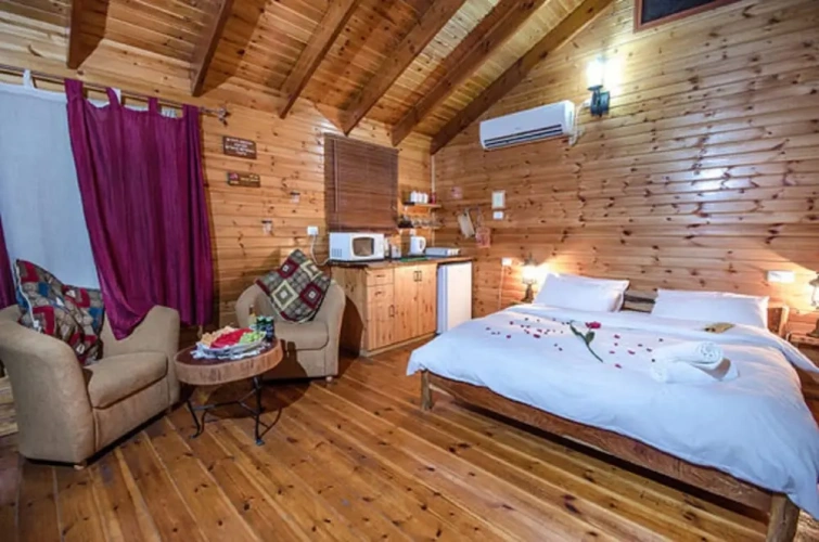 Standard Chalet with balcony and with mountain view