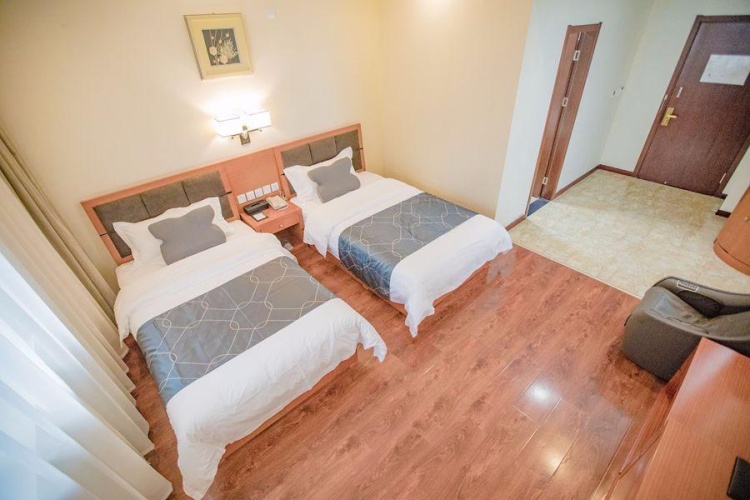 Standard Double room with city view