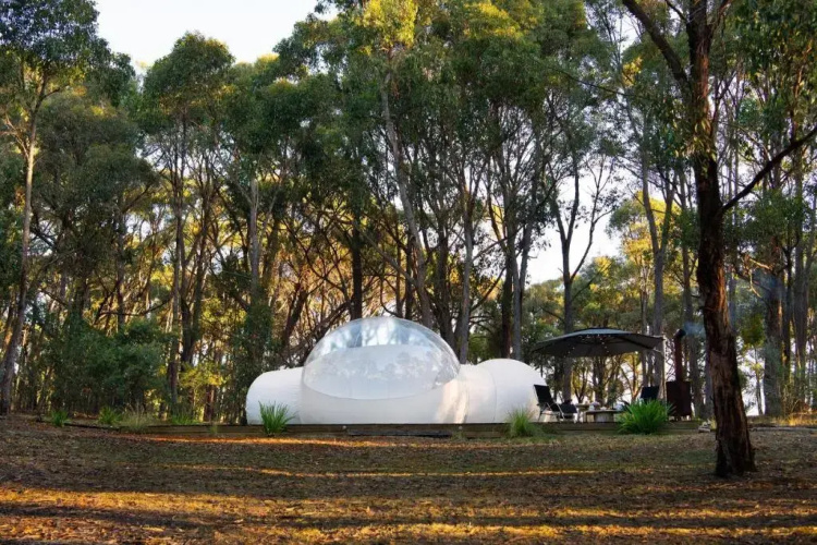 Skyview Bubbletent
