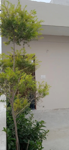 Yogam Homestay Agra