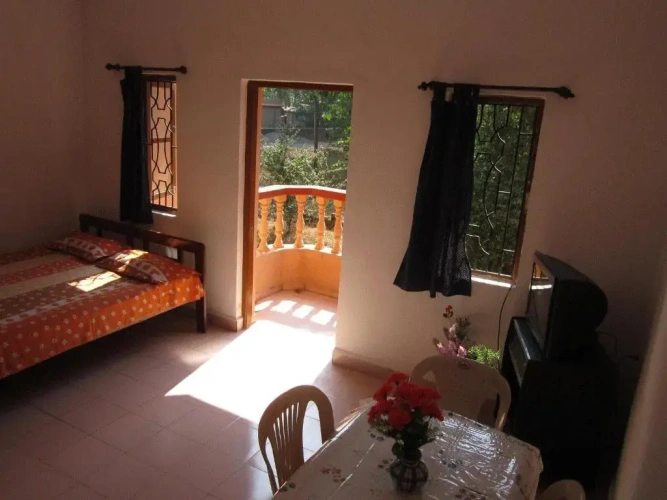 Standard Double room with balcony and with view