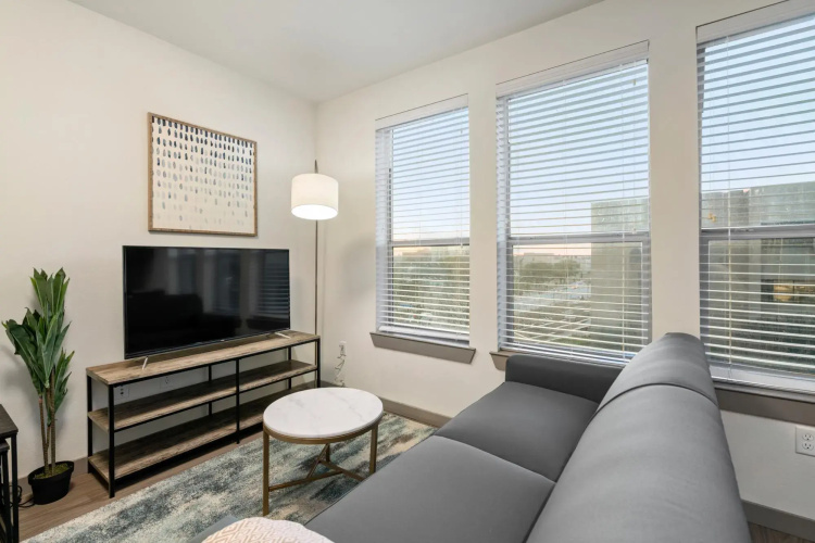Arlington Artistic 2BD 2BA Apartment