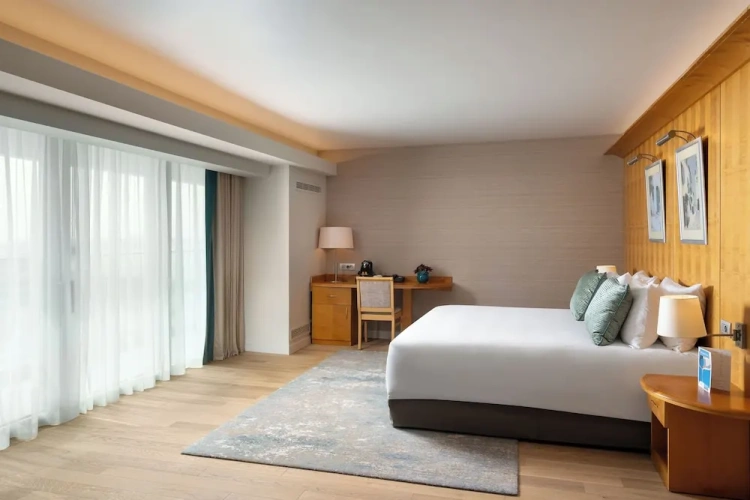 Deluxe Double room with balcony