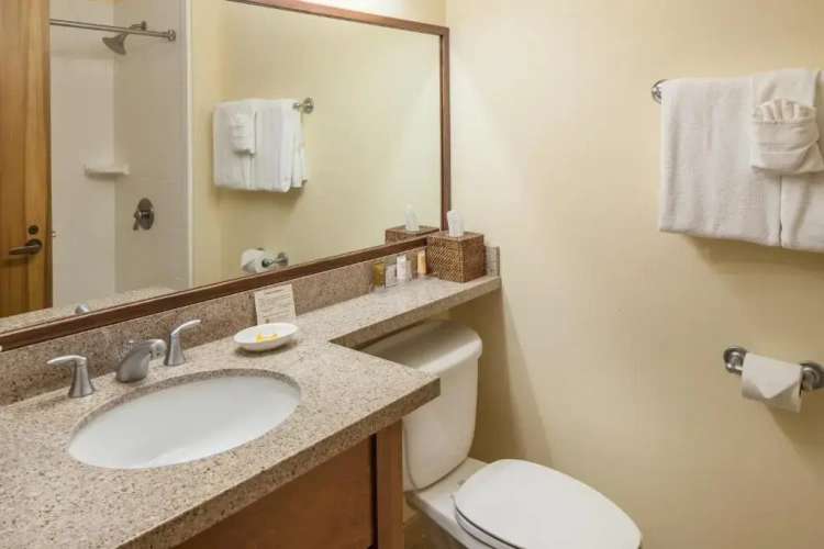 1 Bedroom Suite