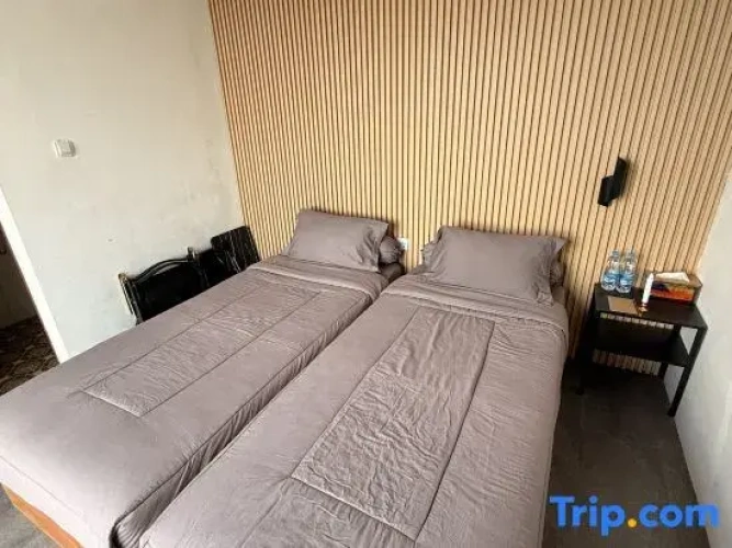 Premium Twin room
