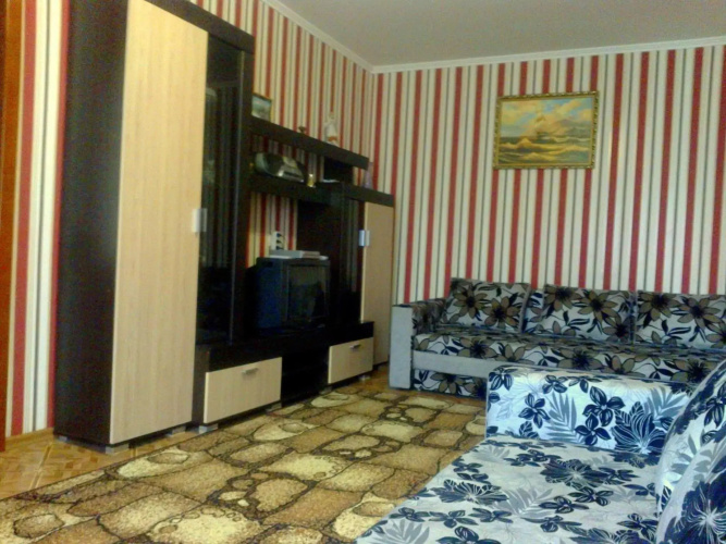 Apartment on Robitnycha