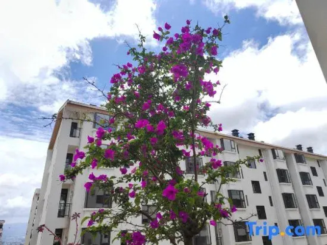 Maili Feng Holiday Homestay