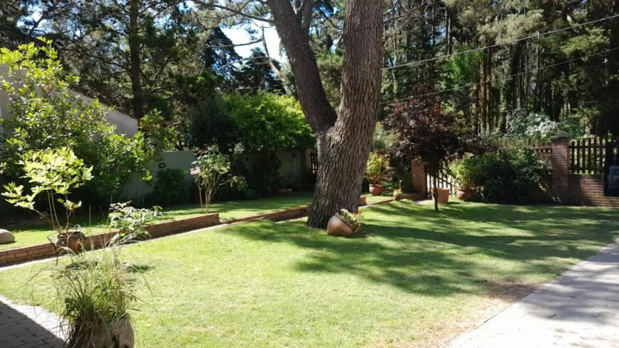 Chalet del bosque