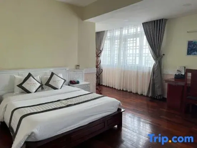 Single Suite