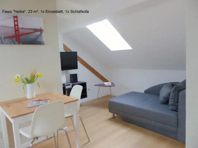 Double Apartment