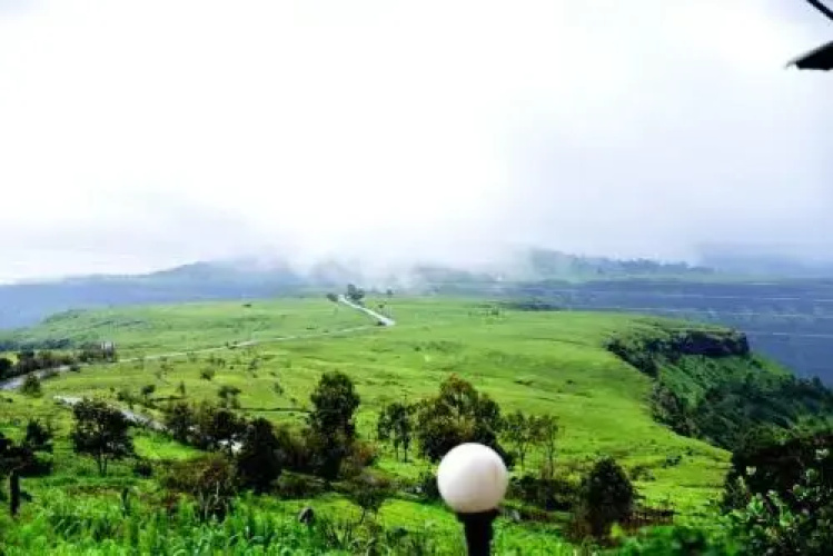 Vamoose Malvan Katta
