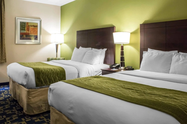 Standard Quadruple room