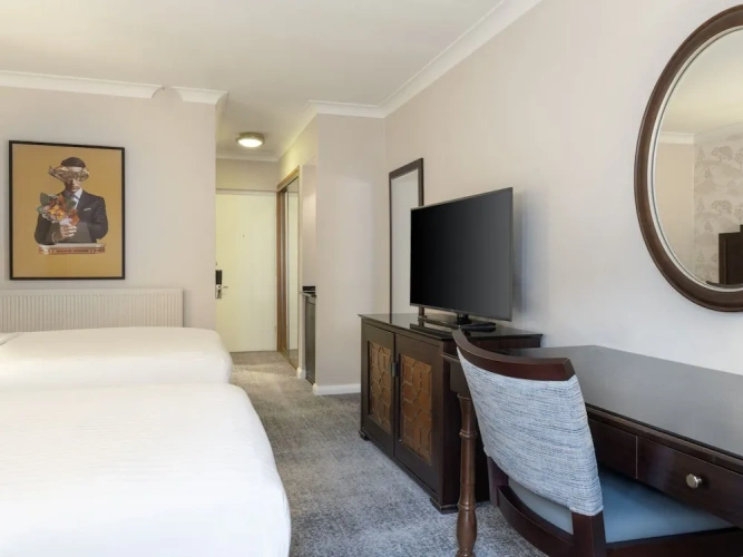Deluxe Twin room