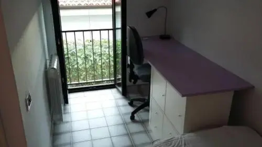 Apartment Orange tree