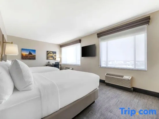 Quadruple Suite