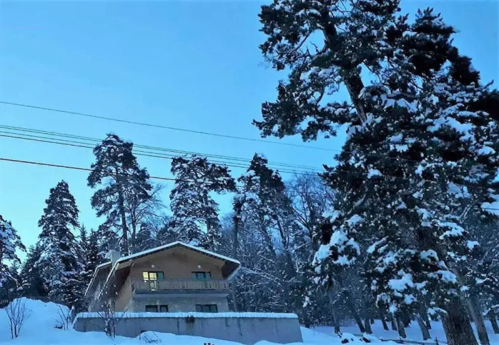 Villa B Barleon-Bakuriani