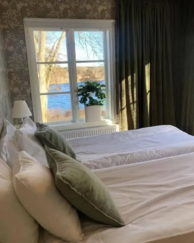 Standard Double room with lake view