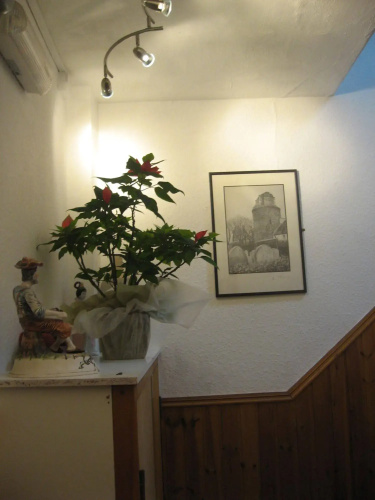 Arden Guest House