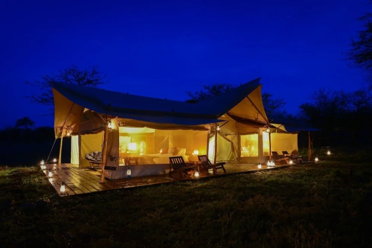 Tent