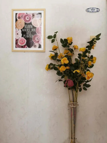 Senorita Suites