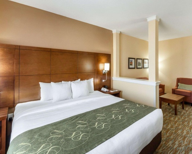 1 Bedroom Suite