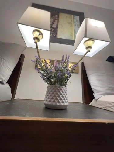 Premier Double Basement room with mountain view