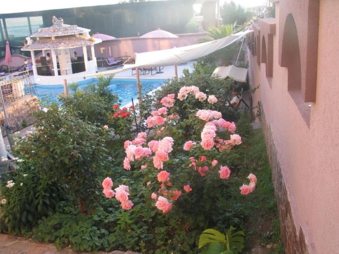 Standard Single room with balcony