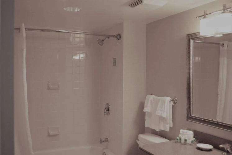 Holiday Inn Laval - Montreal photo 11