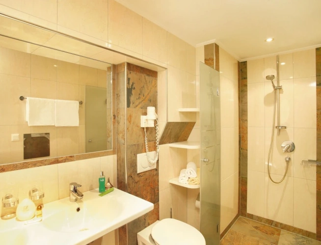 Standard Double room with balcony and with mountain view