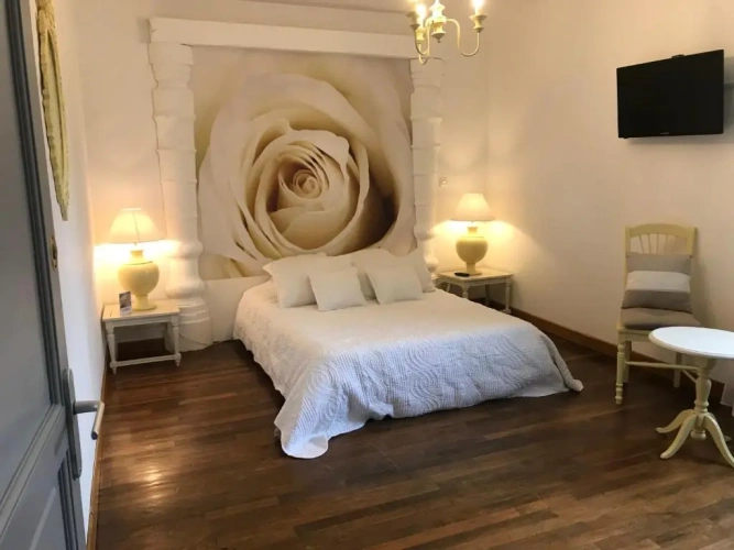 Standard Double room with garden view