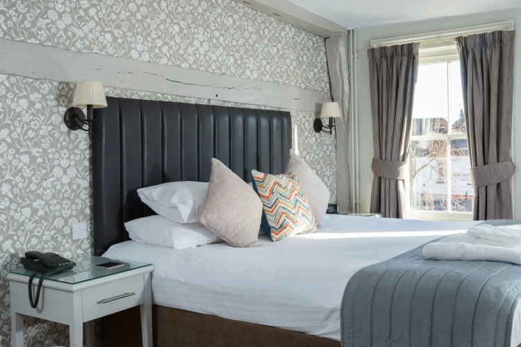 Dog & Bear Hotel