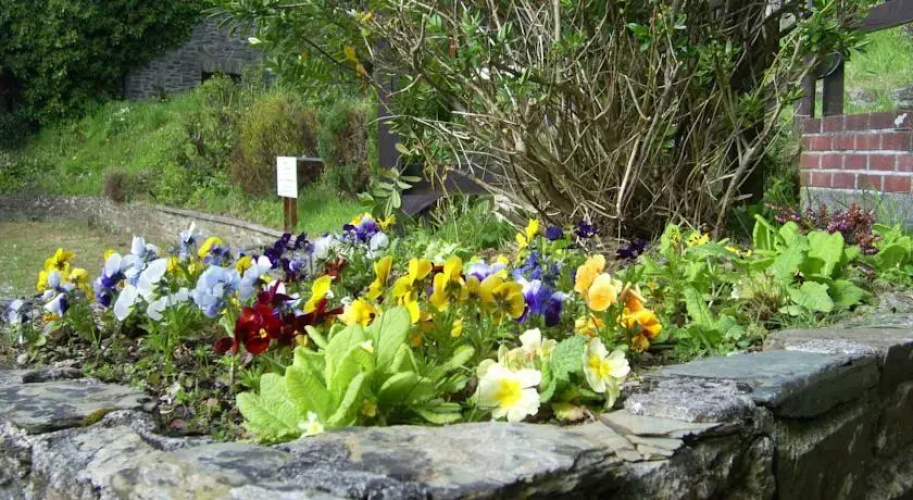 The Ivy Barn B&B