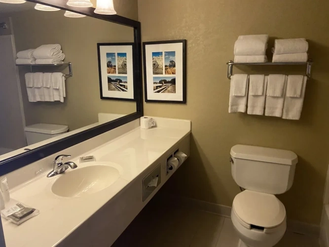 1 Bedroom Suite