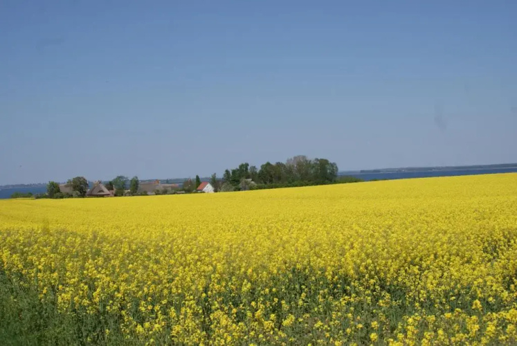 Strandhaus Zierow
